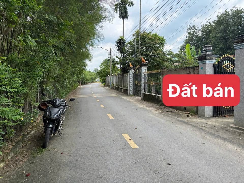 Đất mặt tiền Tân Định Bến Cát 210m² giá 1.5 tỷ - Cơ hội đầu tư tuyệt vời!