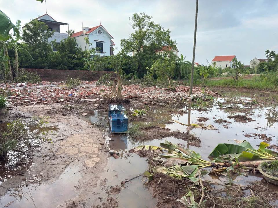 Đất nền Hạ Mỗ 295m² giá 885 triệu - Sát đường lớn, ô tô vào tận đất!