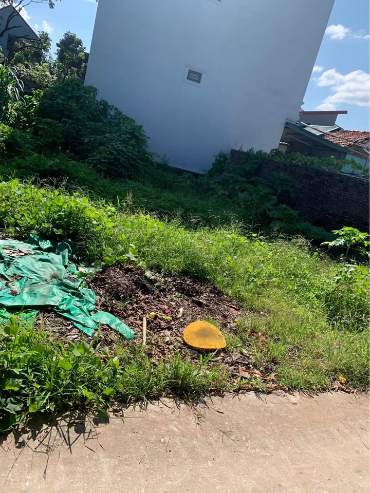 Đất thổ cư 225m² tại Đại Thành, Quốc Oai - Ô tô đỗ cửa, giá thỏa thuận!