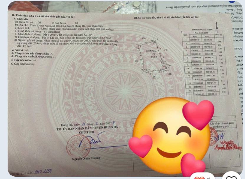 Đất thổ cư Dân Chủ Hưng Hà 251.8m² giá chỉ 500 triệu - Cơ hội hiếm có!