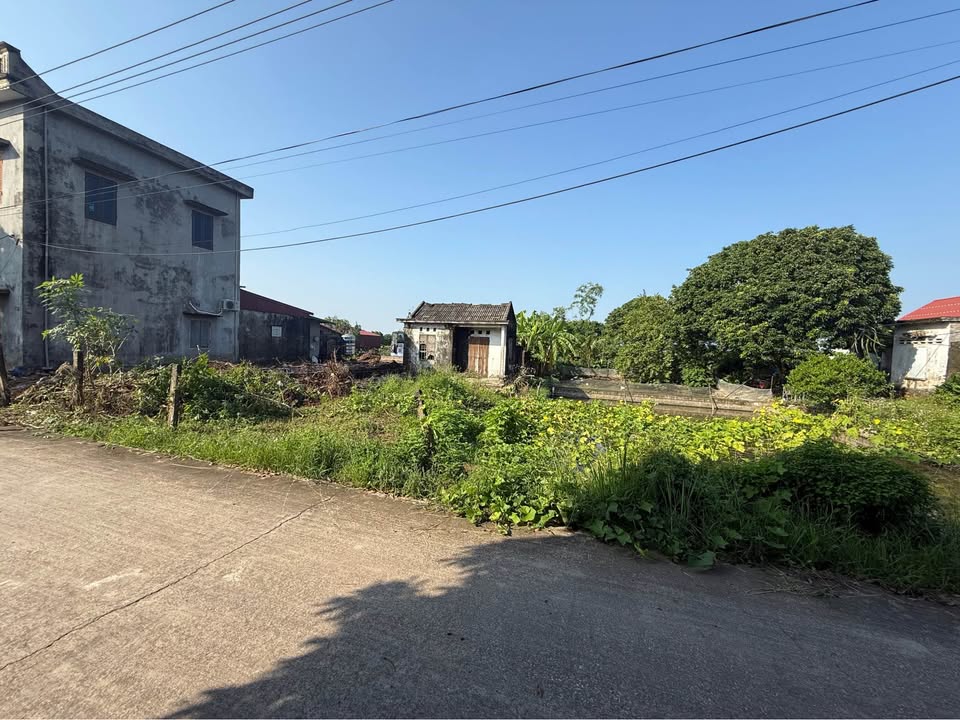 Đất thổ cư xã Quỳnh Minh 254m² giá 1 tỷ - Đầu tư sinh lời tốt!