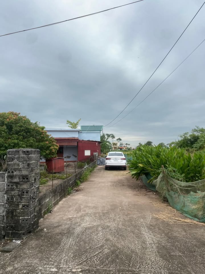 Đất nền Nam Hưng Tiền Hải 131m² giá chỉ vài trăm triệu - Cơ hội đầu tư hấp dẫn!