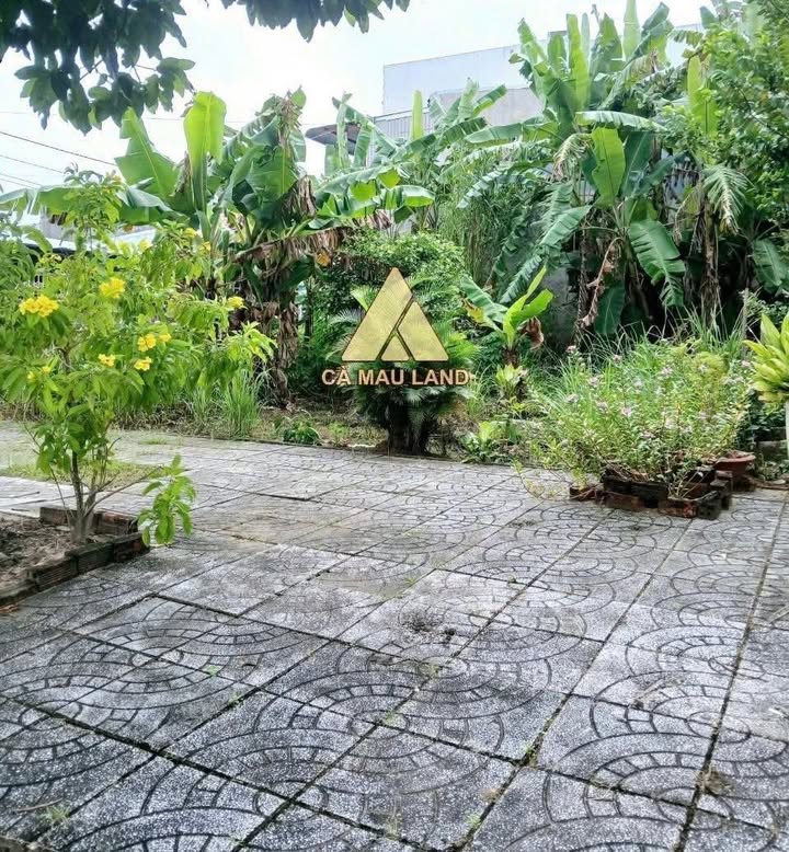 Đất nền góc 2 mặt tiền đường Phù Kim Liên, Cà Mau 75m² giá 2 tỷ - Đầu tư sinh lời ngay!