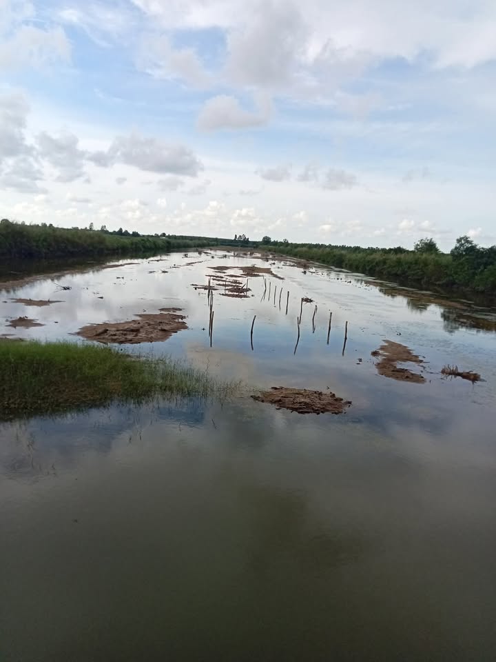 Đất vuông xã Khánh Hoà, U Minh, Cà Mau 15.000m² giá 5.4 tỷ - Sổ đỏ chính chủ