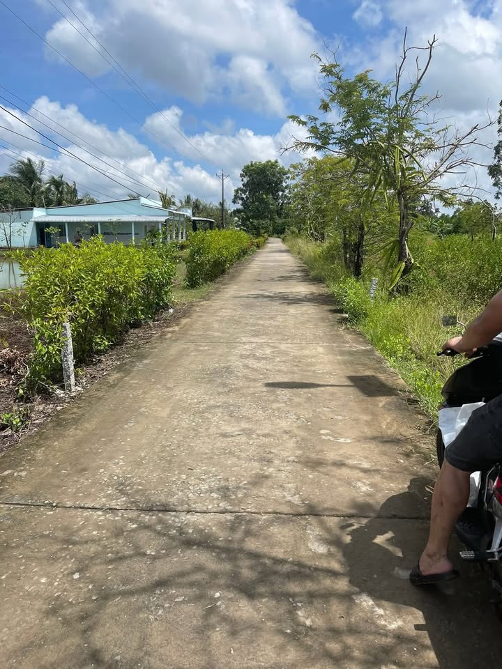 Đất nền Đầm Dơi, Cà Mau 600m² giá thương lượng - Cơ hội đầu tư hấp dẫn!