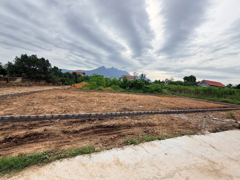 Đất thổ cư 383m² Đồng Trung giá 2.298 tỷ - Lô góc tiềm năng xây nhà vườn