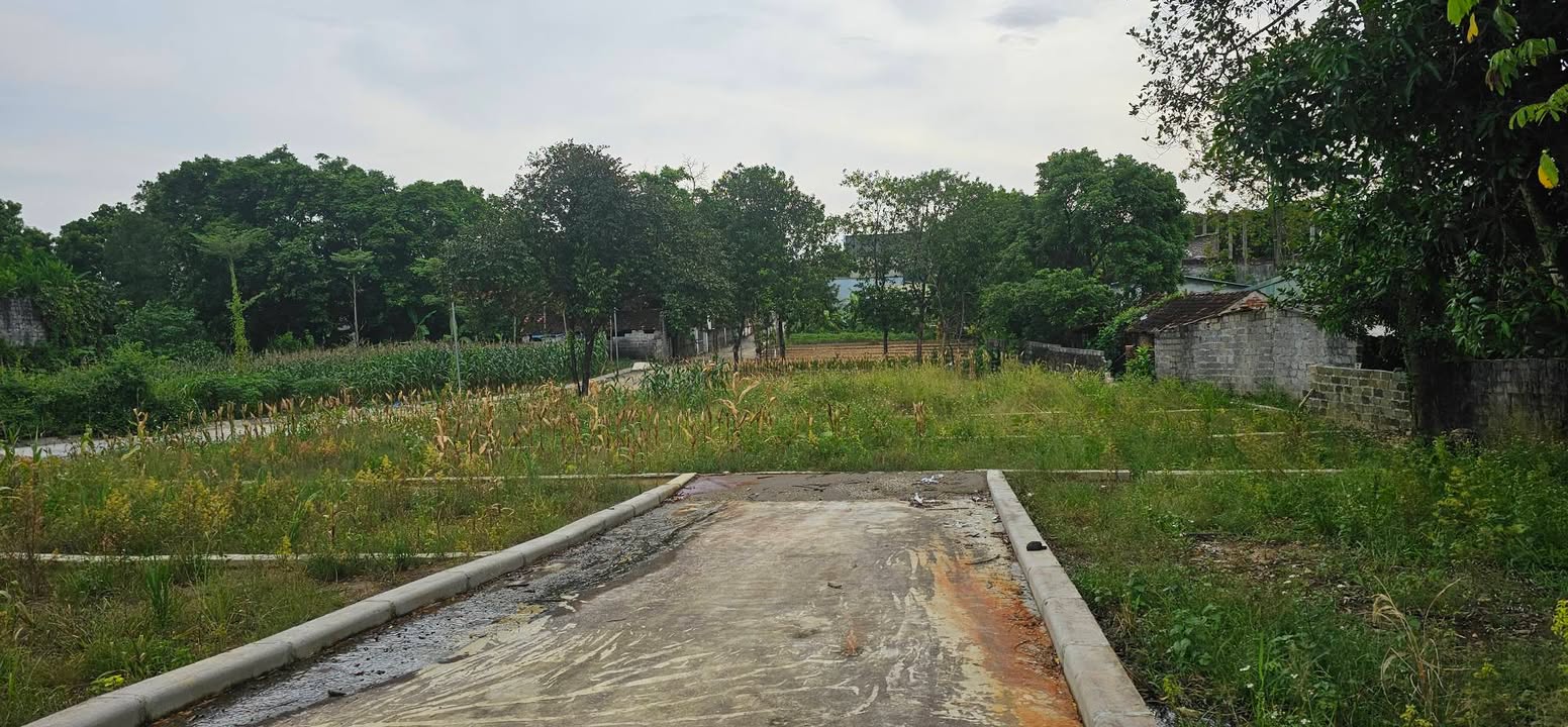 Đất thổ cư 80m² mặt tiền 12m - Vị trí trung tâm xã Xuân Mai, Hà Nội