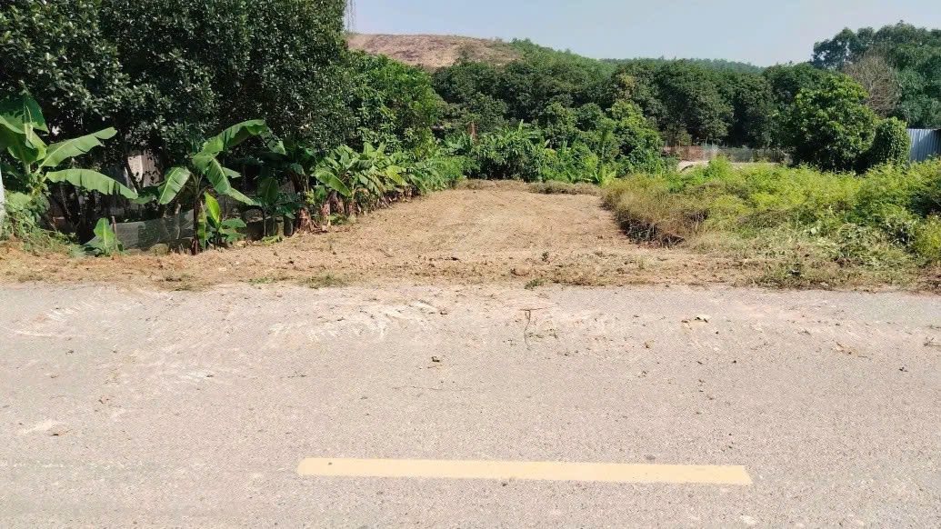 Đất mặt tiền tỉnh lộ 413 - Ba Vì, 370m² chỉ 3 tỷ - Cơ hội đầu tư tuyệt vời!