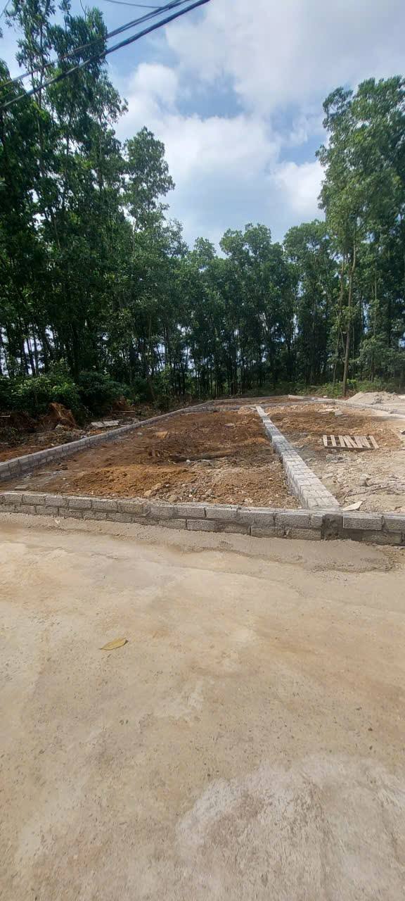 Đất thổ cư 100m² Sơn Đông, Sơn Tây chỉ 1 tỷ - Cơ hội đầu tư lý tưởng!