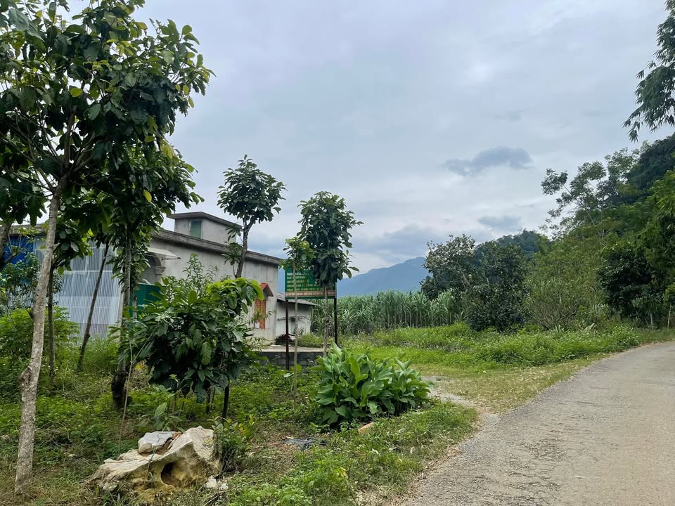 Đất thổ cư 500m² tại Tú Sơn, Kim Bôi, Hòa Bình giá 700 triệu - Cơ hội đầu tư tuyệt vời!