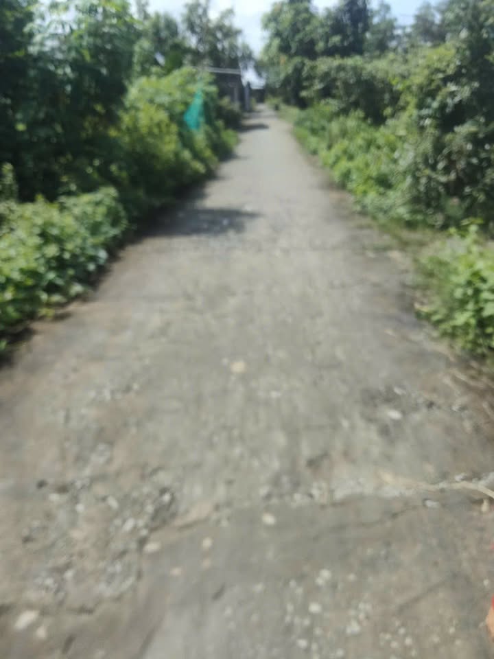 Đất Farm Tạ An Khương Đầm Dơi 150000m² giá 1.95 tỷ - Mặt tiền lớn thuận tiện đầu tư!