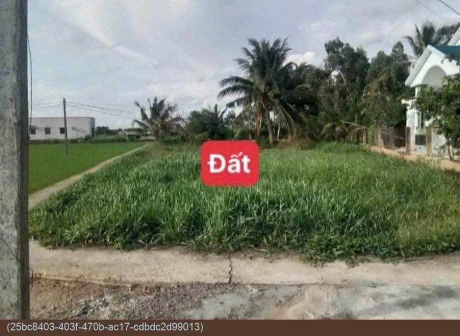 Đất nền Đức Tân Tân Trụ 1400m² giá 630 triệu - Đầu tư sinh lời tuyệt vời!