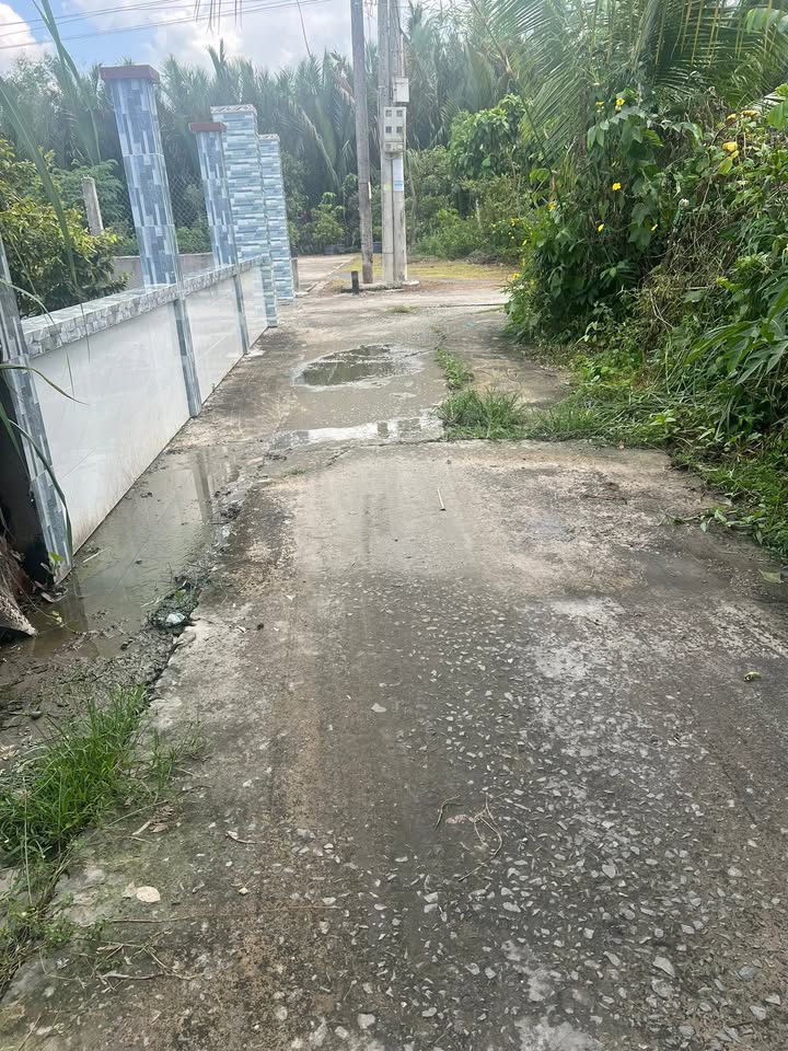 Đất thổ cư phường Hướng Thọ Phú, Tân An 142m² giá 750 triệu - Cơ hội đầu tư hấp dẫn!