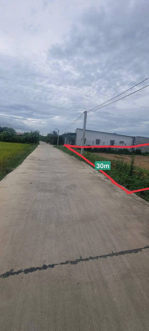 Đất đẹp Hướng Thọ Phú Tân An 3182m² giá 1.5 tỷ - Đầu tư sinh lời ngay!