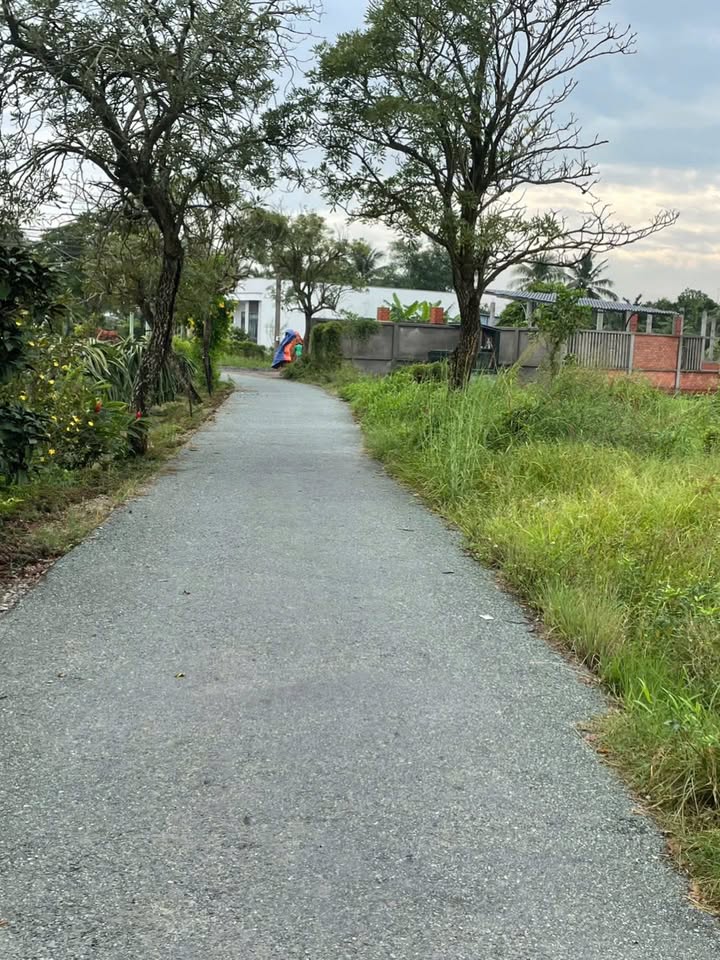 Đất thổ cư Ấp 7 Vĩnh Công 300m² giá 990 triệu - Đầu tư sinh lời ngay!