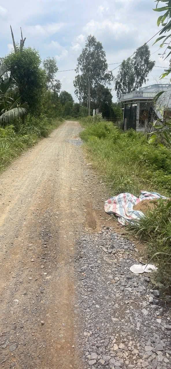 Đất nền 1359m² tại xã Phước Tuy, Cần Đước - Giá 1.47 tỷ, pháp lý rõ ràng!