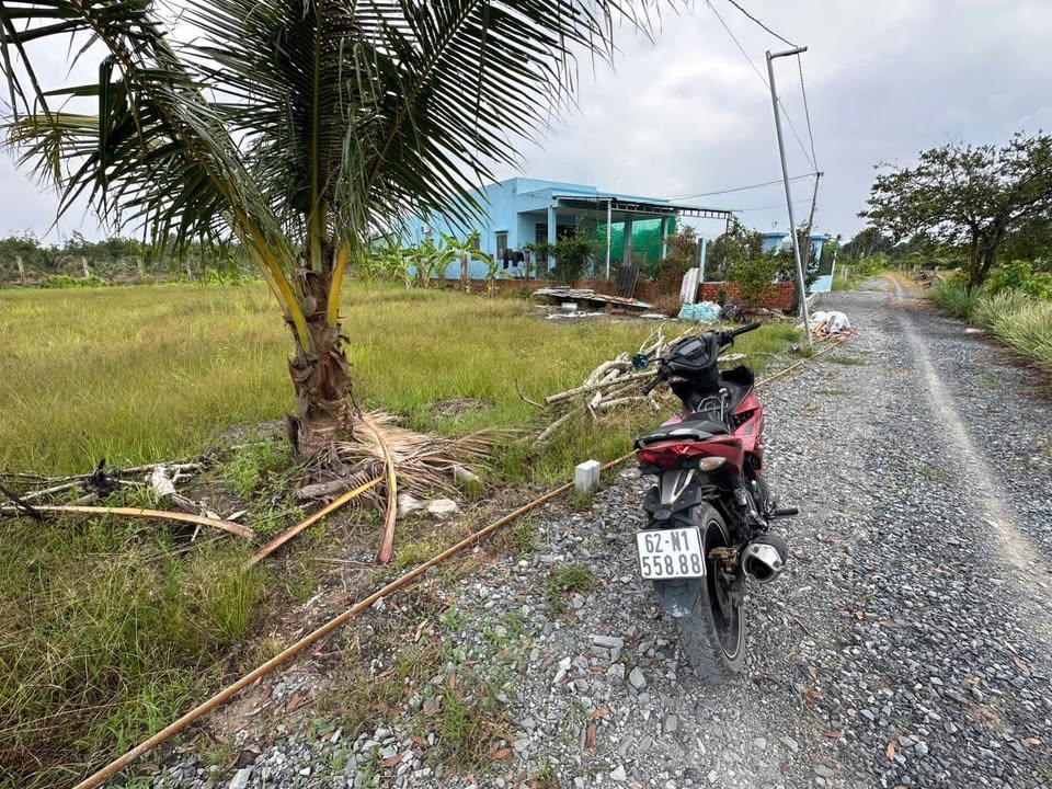 Đất thổ cư 500m² tại ấp 1 Bình Đức, Bến Lức - Giá chỉ 1.2 tỷ, sẵn sàng xây dựng!