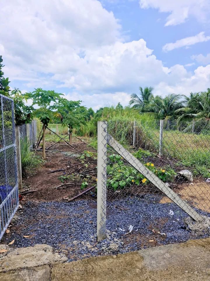 Đất thổ cư 105,9m² tại Lạc Tấn, Tân Trụ - Giá chỉ 550 triệu VND!