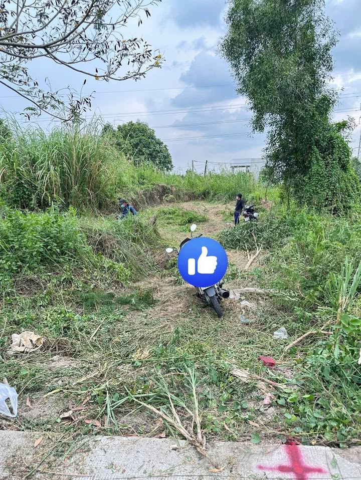 Đất thổ cư 130m² Bình Tâm, Tân An giá 960 triệu - Cơ hội đầu tư tuyệt vời!