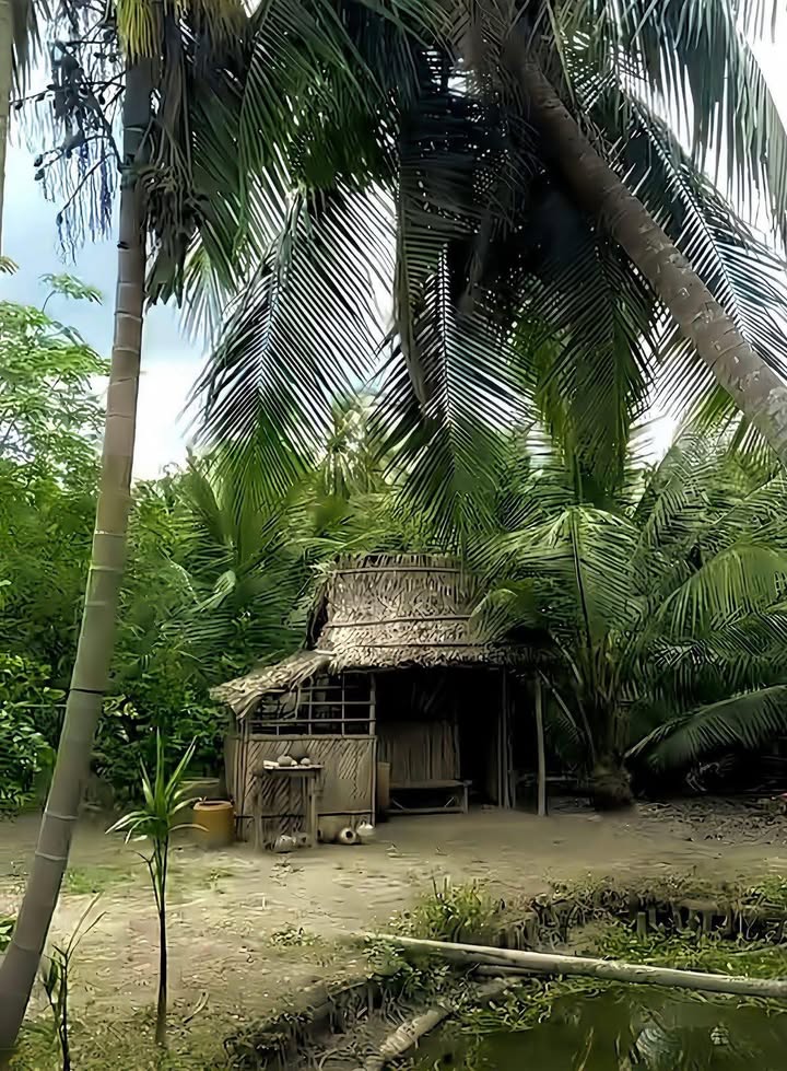 Đất thổ cư mặt tiền đường nhựa xã Thuận Mỹ 1133m² giá chỉ 2.5 tỷ - Cơ hội đầu tư hấp dẫn!