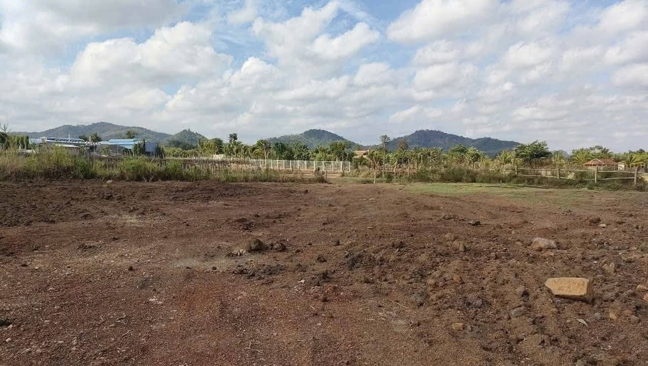 Đất nền Cư Êbur, Buôn Ma Thuột 1300m² chỉ 680 triệu - View ruộng tuyệt đẹp!