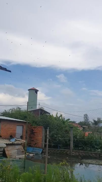 Đất chính chủ 1.000m² tại Sóc Trăng - Giá chỉ 2.5 tỷ, đầu tư sinh lời!