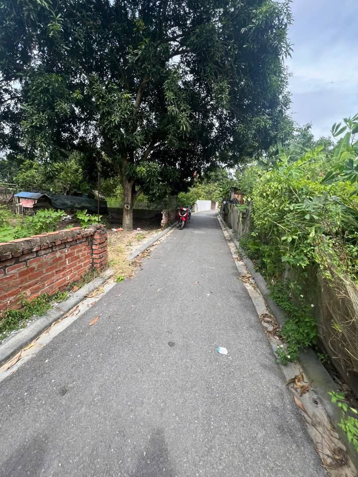 Đất thổ cư Đản Mỗ, Uy Nỗ, Đông Anh 76m² - Pháp lý rõ ràng, đầu tư sinh lời!