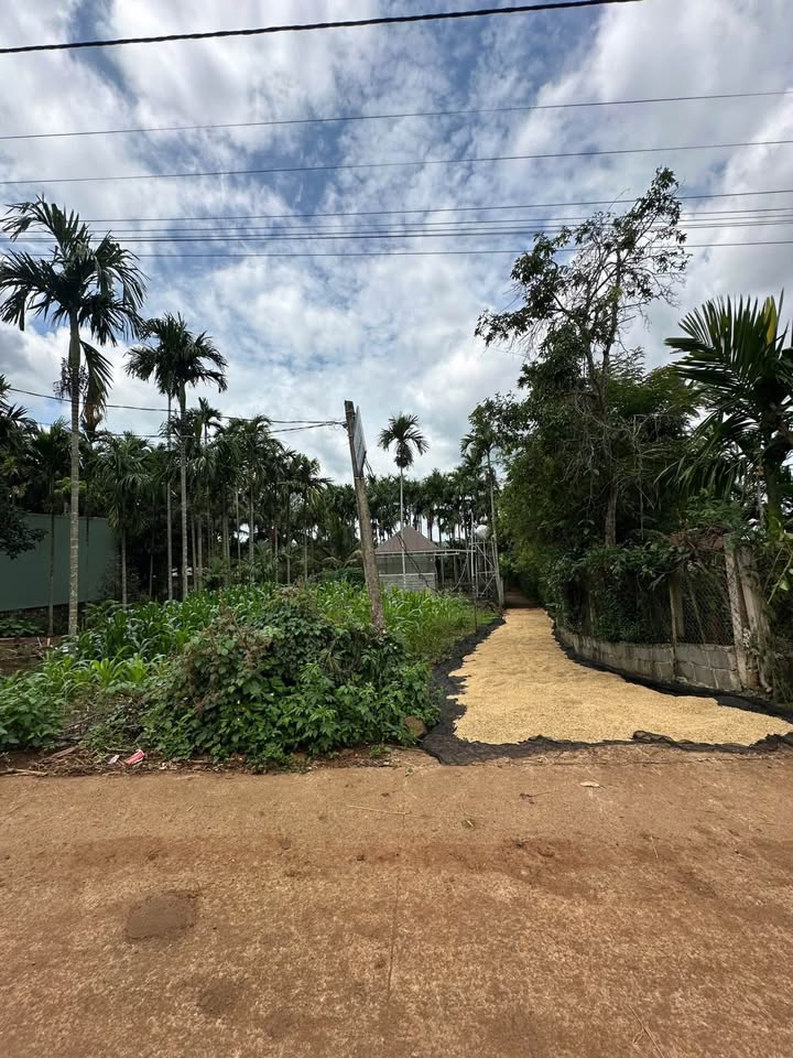 Bán đất hẻm cấp 1 Đại Lộ Đông Tây, phường Tân Lập 135m² - Đầu tư sinh lời hấp dẫn!