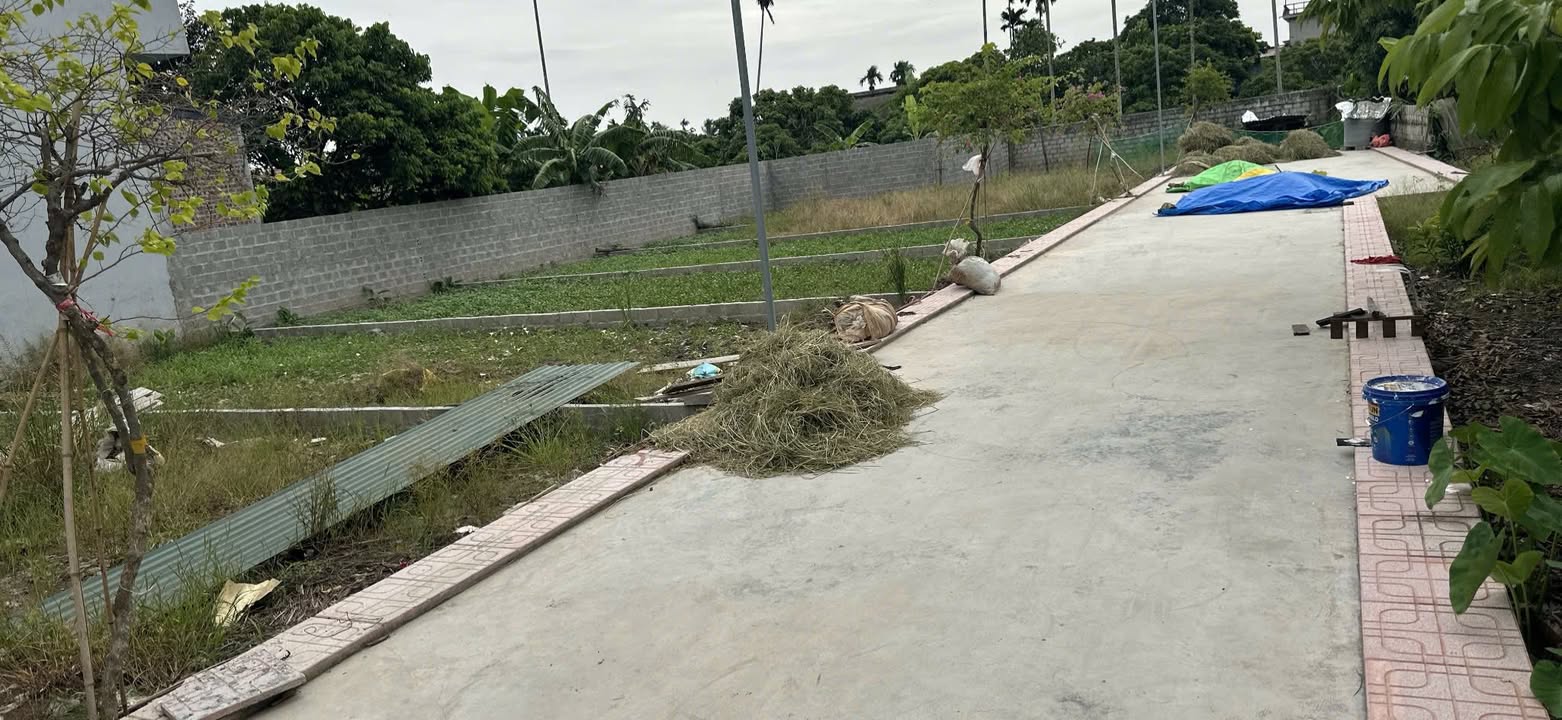 Đất nền chính chủ tại Quán Trang, An Lão - 60m² giá chỉ 480 triệu - Đầu tư sinh lời ngay!