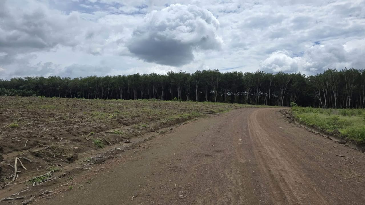 Đất nền Tân Hòa Đồng Phú 1000m² giá 480 triệu - Cơ hội đầu tư sinh lời!