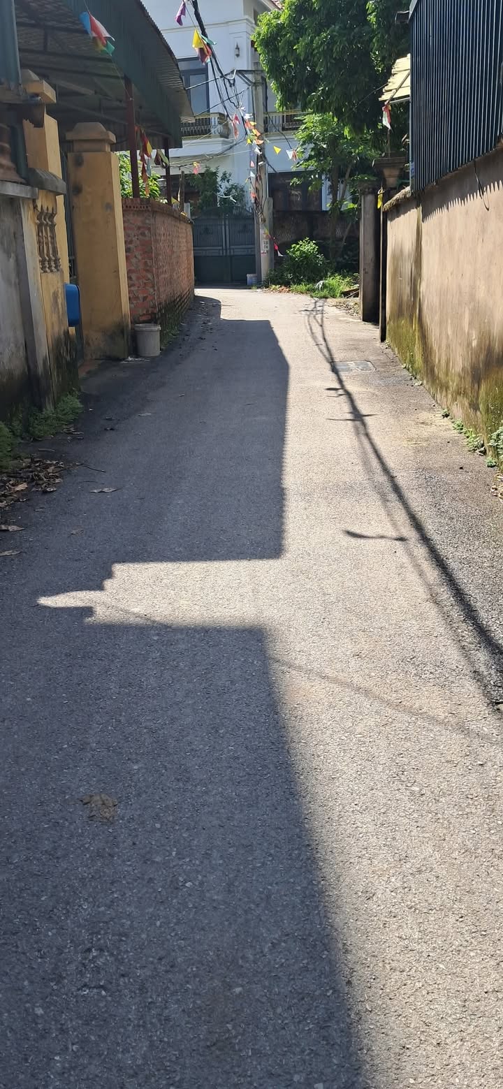 Đất nền 50m² tại Xuân Lâm - Thuận Thành, Bắc Ninh chỉ 1 tỷ - Cơ hội đầu tư sinh lời!