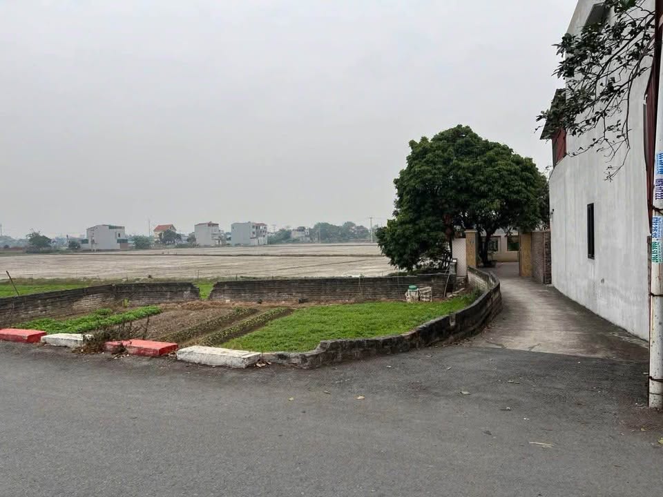 Đất nền Kim Chân Bắc Ninh 221m² giá 5 tỷ - Lô góc đầu tư sinh lời!