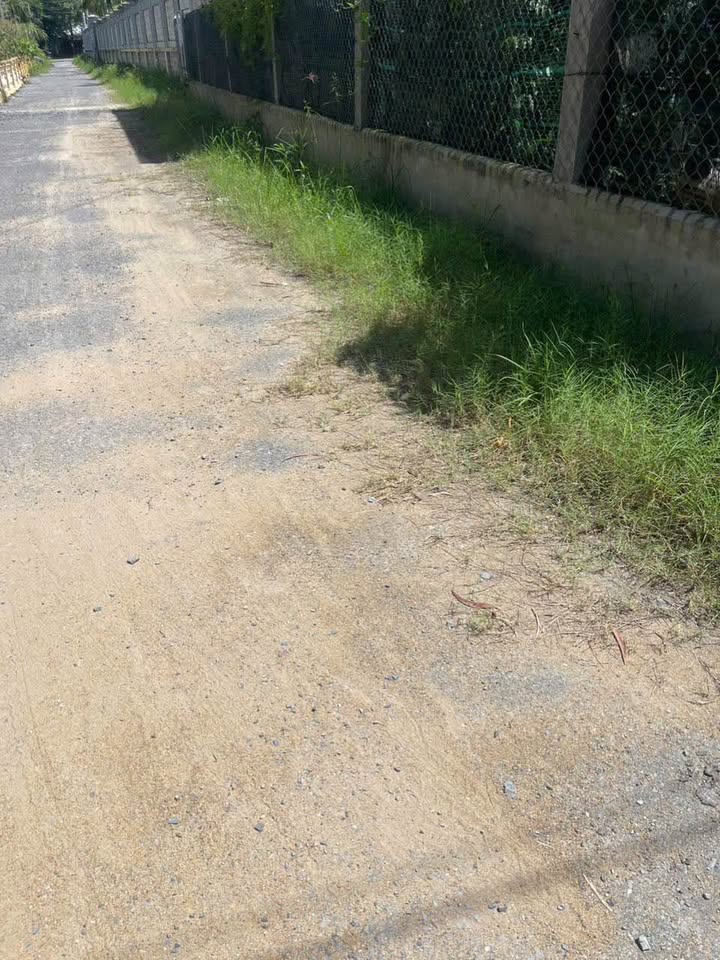 Đất nền Châu Hưng, Bình Đại 98m² giá chỉ 340 triệu - Sổ đỏ chính chủ!