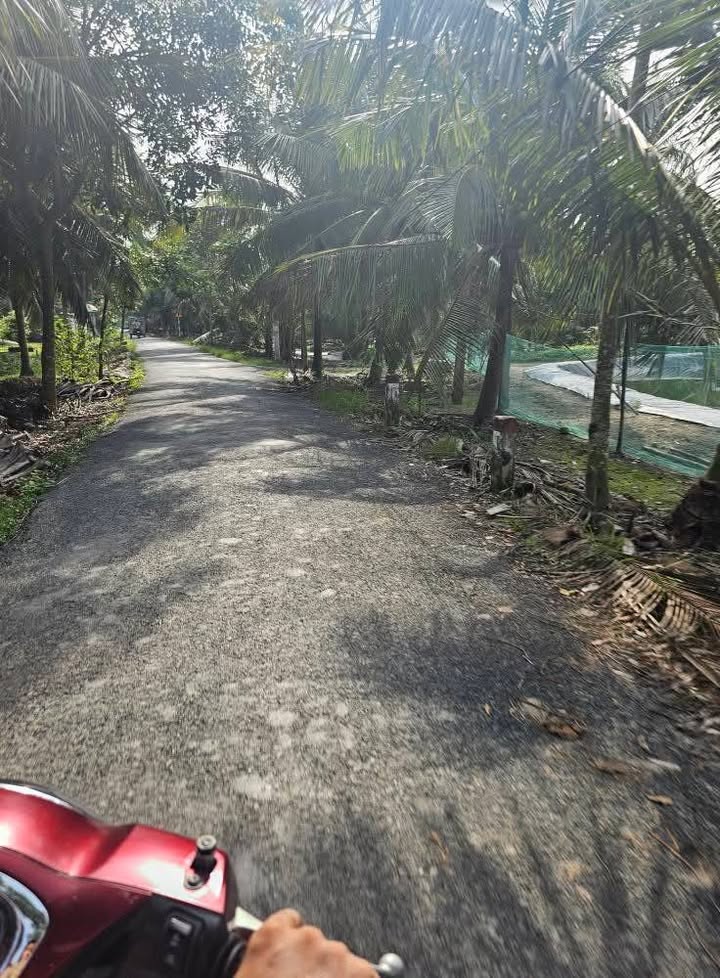 Đất nền Lộc Thuận, Bình Đại 4600m² giá 300 triệu - Đầu tư sinh lời ngay!