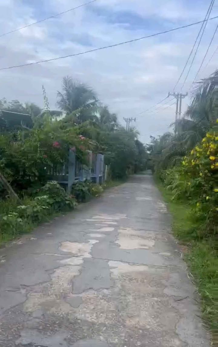 Đất nền Châu Hòa, Giồng Trôm 2000m² giá 1.75 tỷ - Cơ hội đầu tư sinh lời!