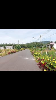 Đất nền Định An Dầu Tiếng 250m² giá 500 triệu - Đường thông dân cư đông đúc!