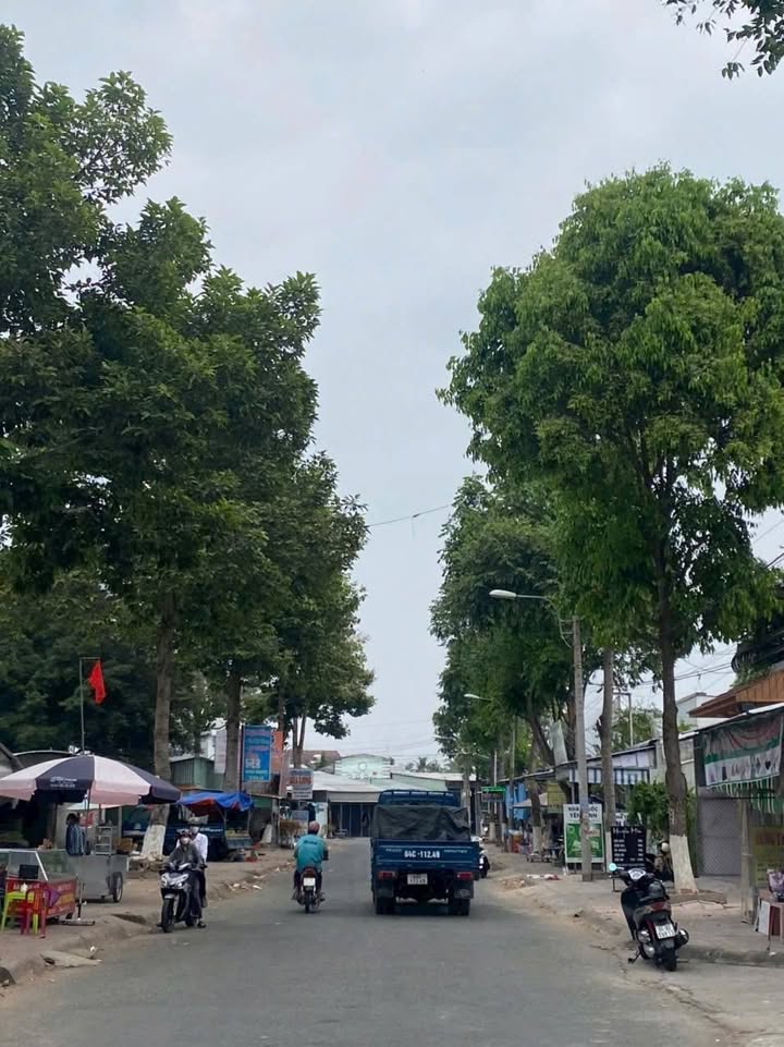 Biệt thự mini tại Tân Hạnh, Vĩnh Long 160m² giá 4.3 tỷ - Nhà ở cao cấp hiện đại!