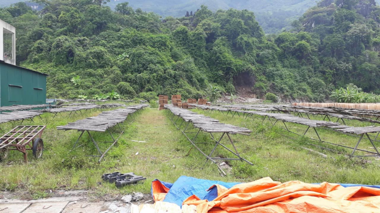 Đất thổ cư 125m² phường Thanh Thủy, Vị Xuyên - Sổ đỏ chính chủ, giá tốt 900 triệu!