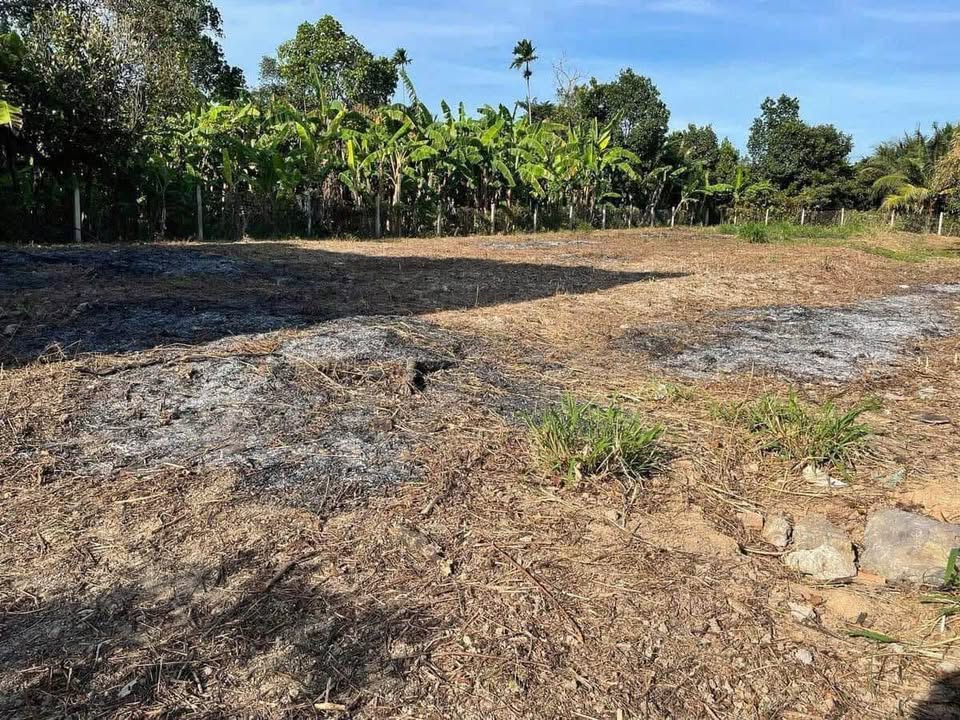 Đất nền Diên An, Diên Khánh 488,5m² giá 4,885 tỷ - Tiện ích đầy đủ, khu dân cư đông đúc!