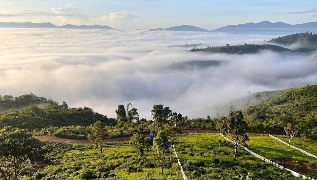 Đất nền Bảo Lâm 2200m² giá 3 tỷ - View cao, pháp lý rõ ràng!