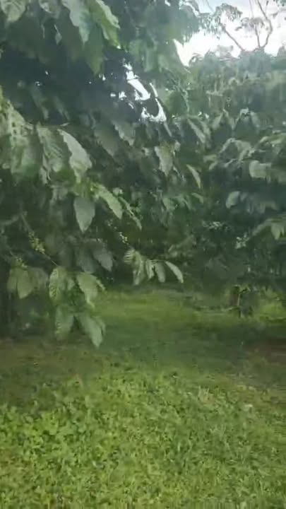 Đất nền Đinh Trang Thượng 2300m² giá 300 triệu - Cơ hội đầu tư tuyệt vời!