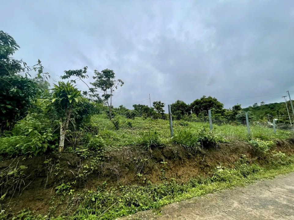 Đất nền Lộc Nga, Bảo Lộc 2400m² giá 3.2 tỷ - Đường bê tông, tiện lợi cho đầu tư!