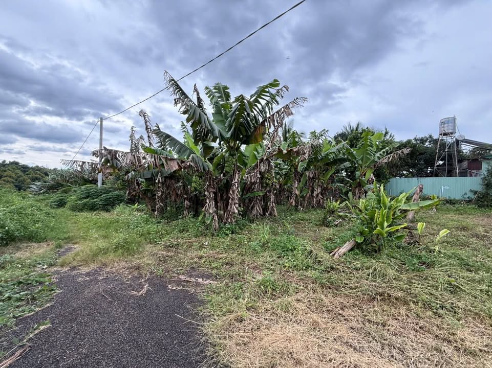 Đất nền Lộc An 212m² giá 550 triệu - Sổ đỏ chính chủ, xây dựng tự do!