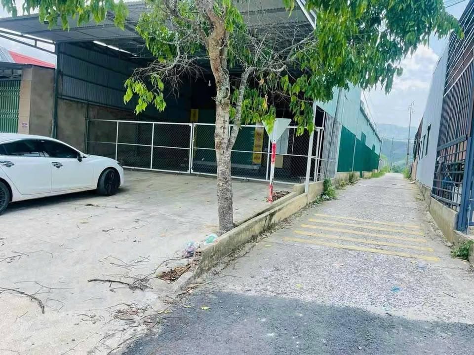 Nhà mặt tiền Quốc Lộ 55, Bảo Lộc 200m² giá 4.3 tỷ - Kinh doanh sầm uất!