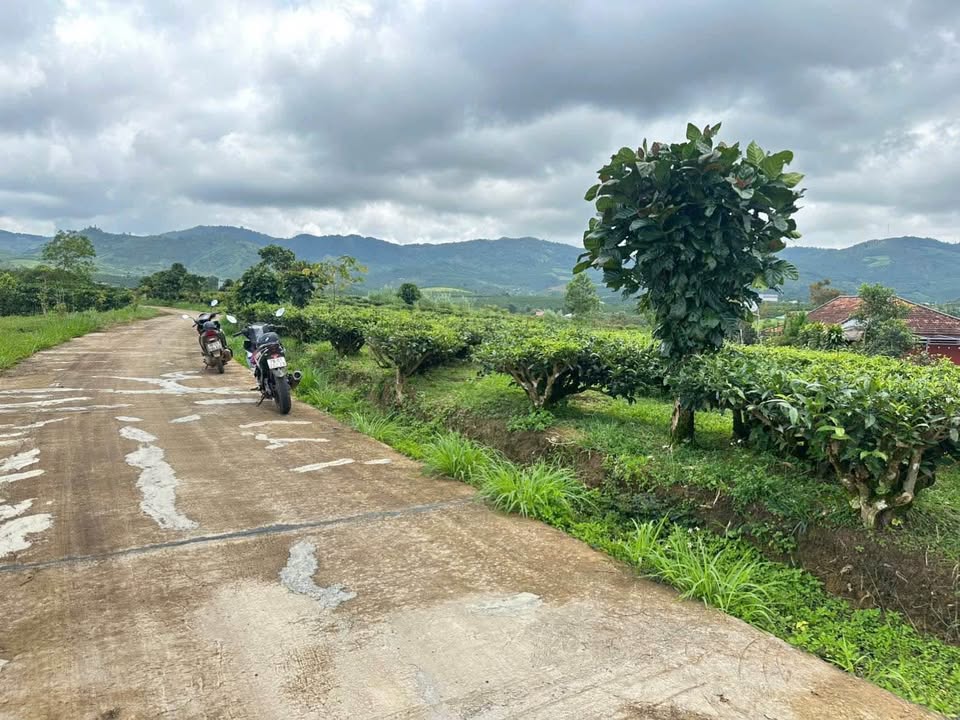 Đất nền 1800m² Đại Lào - Mặt tiền đường bê tông, giá 2 tỷ - Cơ hội đầu tư tuyệt vời!