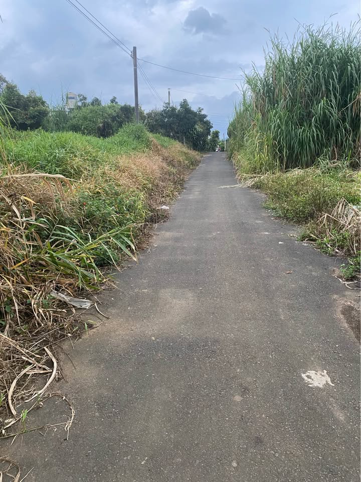 Đất nền Tân Lạc Bảo Lâm 180m² giá chỉ 550 triệu - Cơ hội đầu tư hấp dẫn!