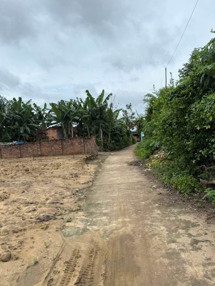 Đất Nhơn Lộc, An Nhơn 112m² giá 360 triệu - Đường bê tông, dân cư sầm uất!