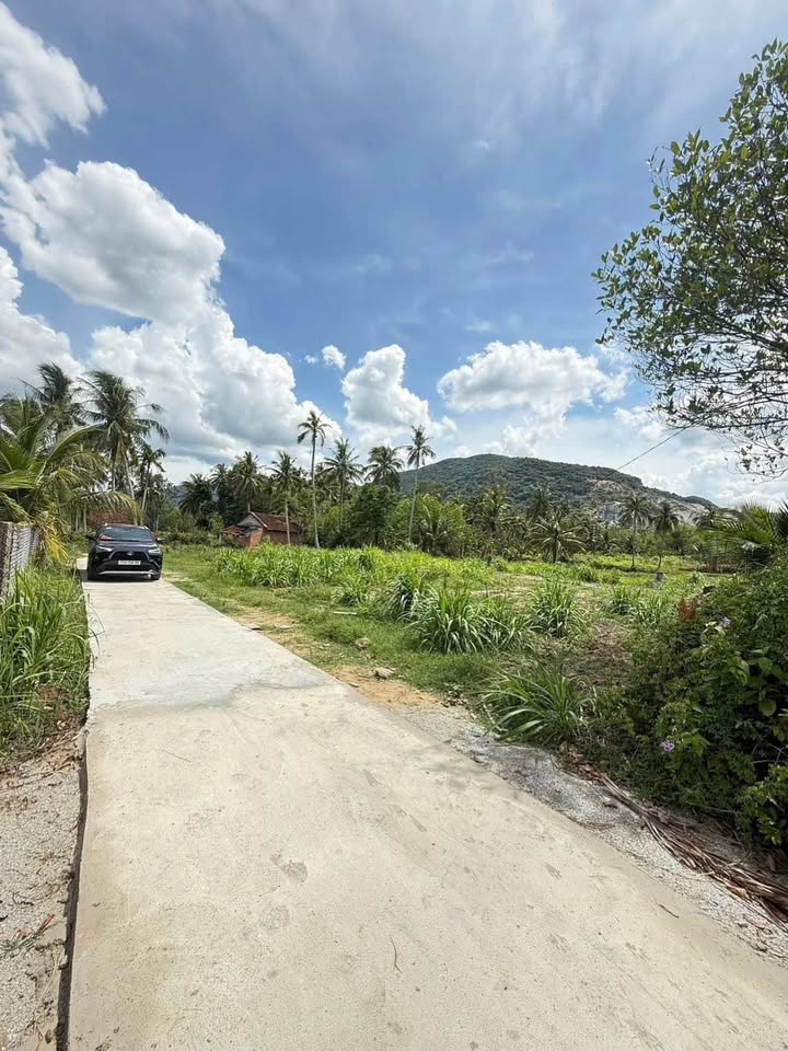 Đất thổ cư 150m² tại Mỹ Hòa, Phù Mỹ - Giá chỉ 150 triệu, Sổ hồng sắp có!