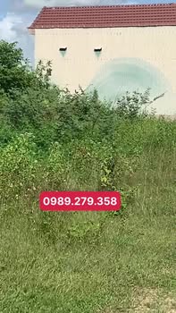 Đất nền phường An Nhơn, Bình Định 131m² giá 5 tỷ - Cơ hội đầu tư hấp dẫn!