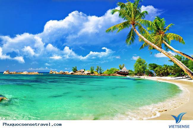 Cho thuê mặt bằng Trần Hưng Đạo Phú Quốc 100m² - Vị trí đắc địa cho kinh doanh!